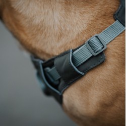 DINGO Szelki Super Lekkie - szare S