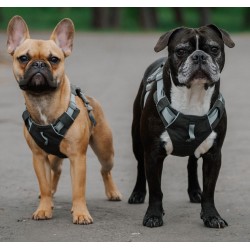 DINGO Szelki Super Lekkie - szare M