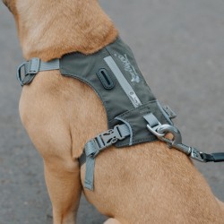 DINGO Szelki Super Lekkie - szare L