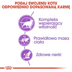 ROYAL CANIN FHN Sterilised 7 3,5kg PROMO 2 Uszkodzenie ubytek