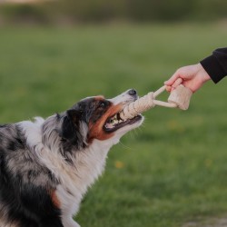 DINGO Gryzak z drewna kawowego na sznurze LASSO 39 cm