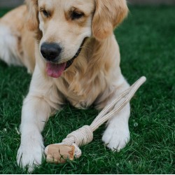 DINGO Gryzak z drewna kawowego na sznurze LASSO 39 cm