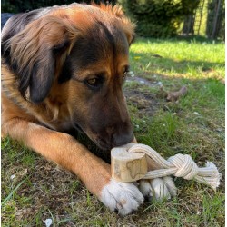 DINGO Gryzak z drewna kawowego na sznurze RING 15 cm