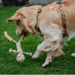 DINGO Gryzak z drewna kawowego na sznurze LUDZIK 35 cm