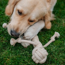 DINGO Gryzak z drewna kawowego na sznurze LUDZIK 35 cm