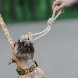 DINGO Gryzak z drewna kawowego na sznurze PRZECIĄGACZ 37 cm