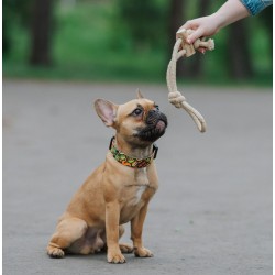 DINGO Gryzak z drewna kawowego na sznurze PRZECIĄGACZ 37 cm