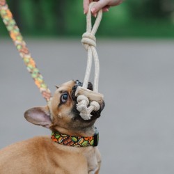 DINGO Gryzak z drewna kawowego na sznurze PRZECIĄGACZ 37 cm