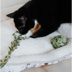 DINGO Piłka Forest - 6 cm