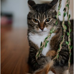 DINGO Wędka dla kota FOREST - 42 + 55 cm