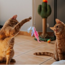 DINGO Wędka dla kota ANGEL (45 cm + 45 cm)