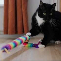 DINGO Wędka dla kota WORM (45 cm + 50 cm)