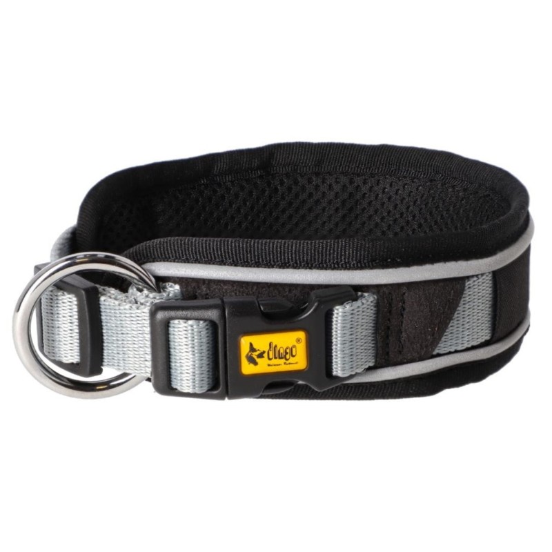 DINGO Obroża Active - Aspen M