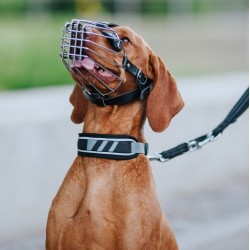 DINGO Obroża Active - Aspen L