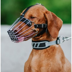 DINGO Obroża Active - Aspen XL