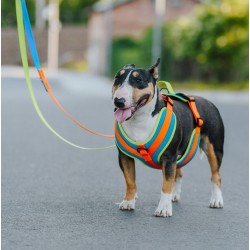 DINGO Smycz przepinana Active - Sydney 1,6 x 220 cm