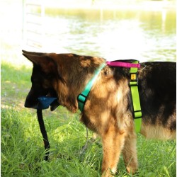 DINGO Szelki Guard Active - Brasil M