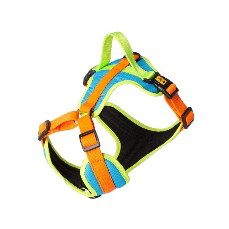 DINGO Szelki Active - Sydney L