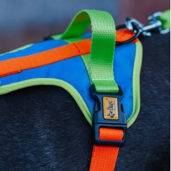 DINGO Szelki Active - Sydney XL