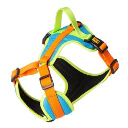 DINGO Szelki Active - Sydney XL