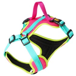 DINGO Szelki Active - Brasil XS