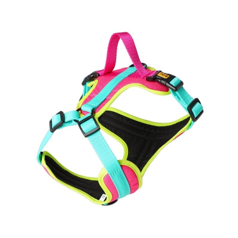 DINGO Szelki Active - Brasil XL