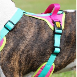 DINGO Szelki Active - Brasil XL