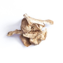 TIVO Korzeń cykorii 300g