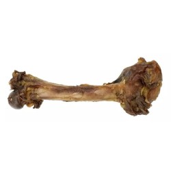 ONERS Kość z Dzika Duża (25-30 cm)