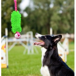 DINGO Szarpak mop Bungee z rączką i piłką - zielony