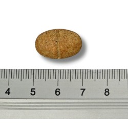 GAME DOG Prostate Protect 60 tabs