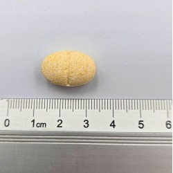 GAME DOG Cardio Protect 60 tabs