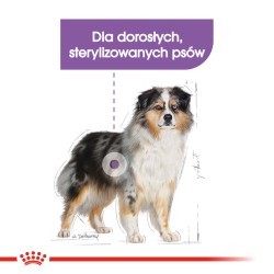 ROYAL CANIN CCN Medium Sterilised 12kg PROMO 4 Uszkodzenie