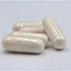 GAME DOG Flora Protect 60 tabs