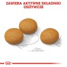 ROYAL CANIN CCN Maxi Dermacomfort 12kg PROMO Uszkodzenie
