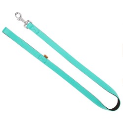 DINGO Smycz pojedyncza Energy 1,2 x 120 cm - miętowa