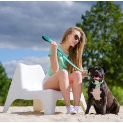 DINGO Smycz pojedyncza Energy 1,2 x 120 cm - miętowa