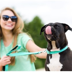 DINGO Smycz pojedyncza Energy 1,2 x 120 cm - miętowa