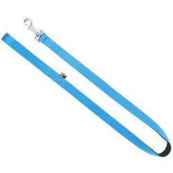 DINGO Smycz pojedyncza Energy 1,2 x 120 cm - niebieska