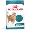 ROYAL CANIN Ageing 11+ karma sucha dla kotów dojrzałych po 11 roku życia 2kg