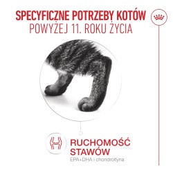 ROYAL CANIN Ageing 11+ karma sucha dla kotów dojrzałych po 11 roku życia 2kg