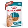 ROYAL CANIN Ageing 11+ Gravy karma mokra, kawałki w sosie, dla kotów dojrzałych po 11 roku życia 85g