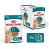 ROYAL CANIN Ageing 11+ Gravy karma mokra, kawałki w sosie, dla kotów dojrzałych po 11 roku życia 85g