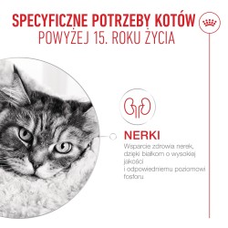 ROYAL CANIN Ageing 15+ karma mokra, kawałki w sosie, dla kotów dojrzałych po 15 roku życia 12x 85g