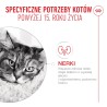 ROYAL CANIN Ageing 15+ karma mokra, kawałki w sosie, dla kotów dojrzałych po 15 roku życia 12x 85g