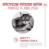 ROYAL CANIN Ageing 15+ karma mokra, kawałki w sosie, dla kotów dojrzałych po 15 roku życia 12x 85g