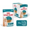 ROYAL CANIN Ageing 15+ karma mokra, kawałki w sosie, dla kotów dojrzałych po 15 roku życia 85g