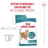 ROYAL CANIN Ageing Sterilised 11+ karma sucha dla kotów dojrzałych po 11 roku życia, sterylizowanych 2kg