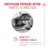 ROYAL CANIN Ageing 15+ karma sucha dla kotów dojrzałych po 15 roku życia 400g