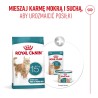 ROYAL CANIN Ageing 15+ karma sucha dla kotów dojrzałych po 15 roku życia 400g